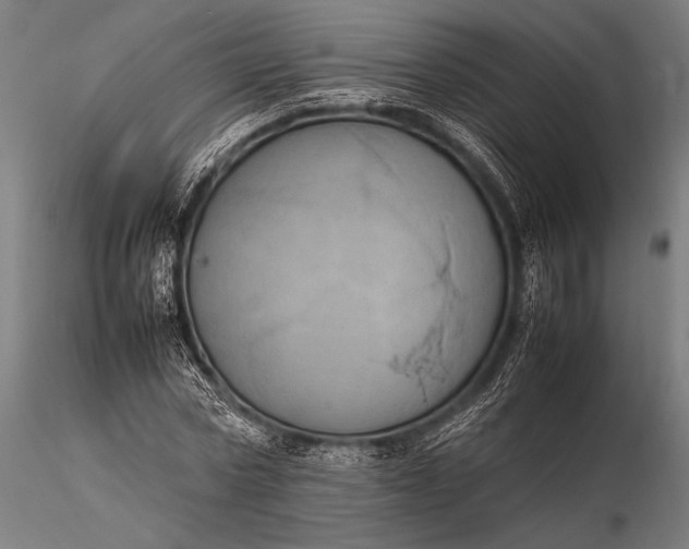 X0000116100778200912071259