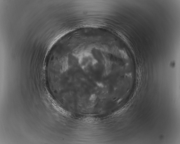 X0000116100779200912071259