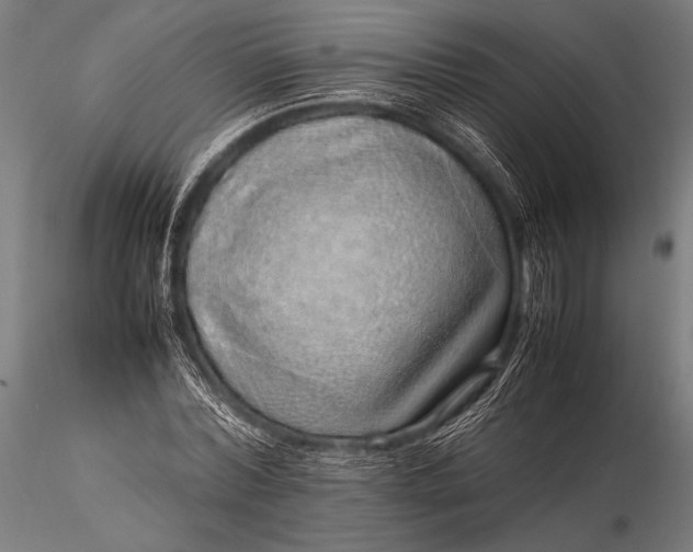 X0000116100780200912071259