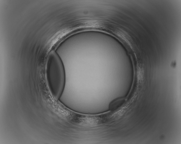 X0000116100781200912071259