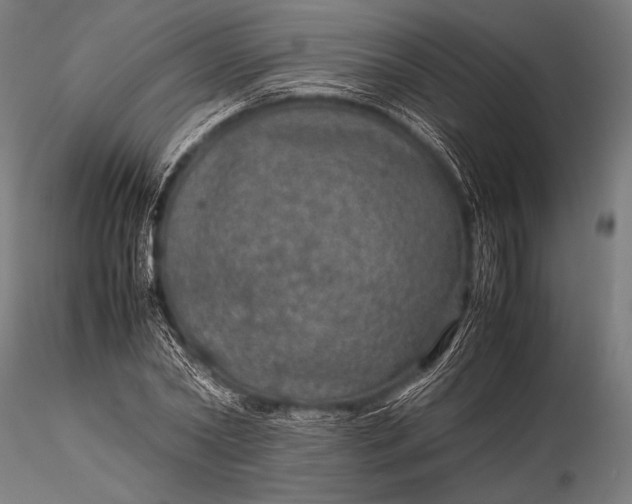 X0000116100782200912071259