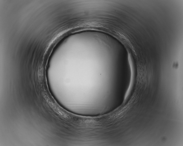 X0000116100784200912071258