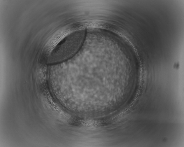 X0000116100785200912071258