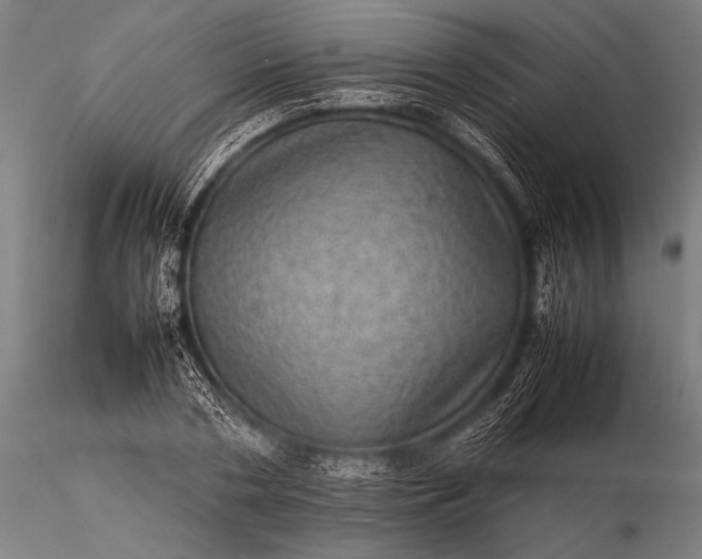 X0000116100786200912071258