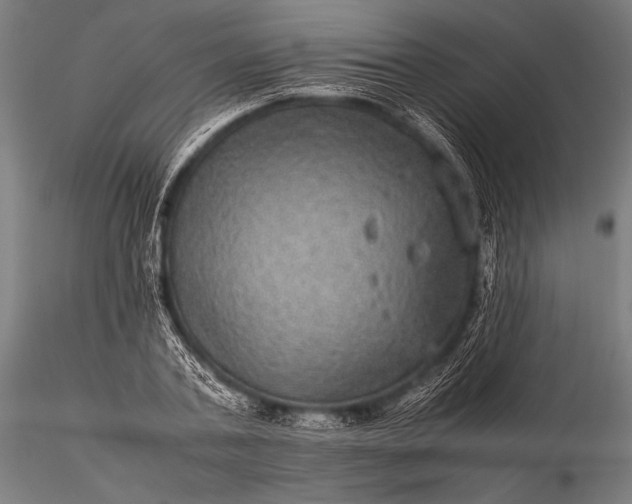 X0000116100787200912071258