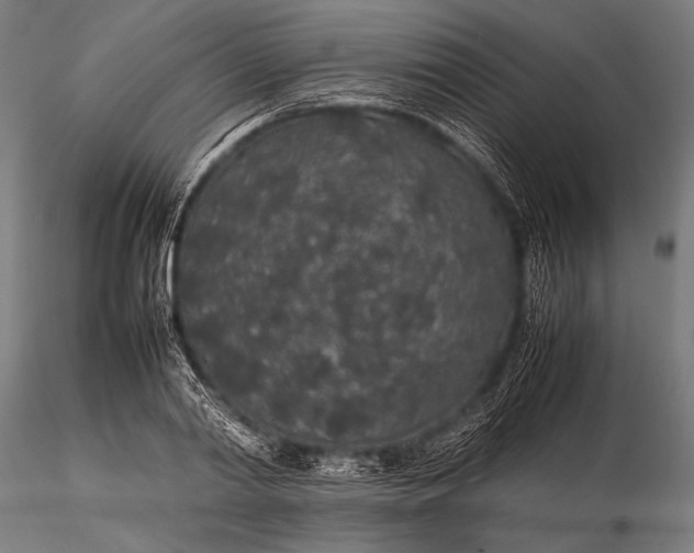 X0000116100790200912071258