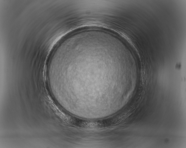 X0000116100791200912071258