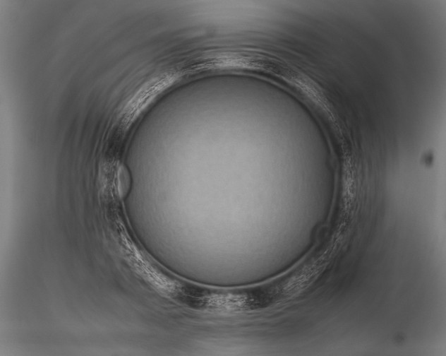 X0000116100793200912071258