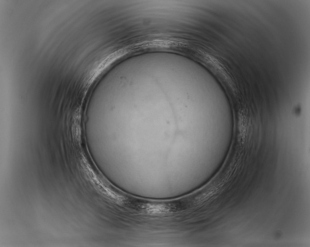 X0000116100794200912071258