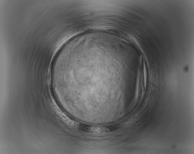 X0000116100795200912071258