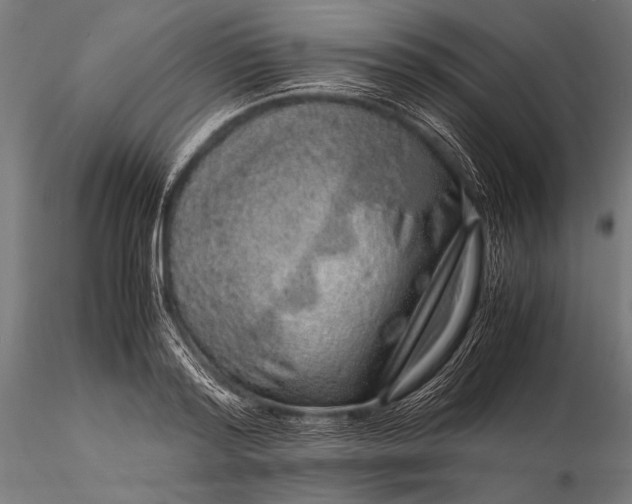 X0000116100796200912071258