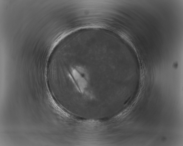 X0000116100797200912071258