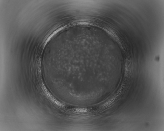 X0000116100798200912071258