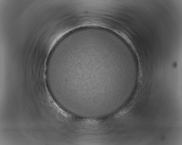 X0000116100799200912071258