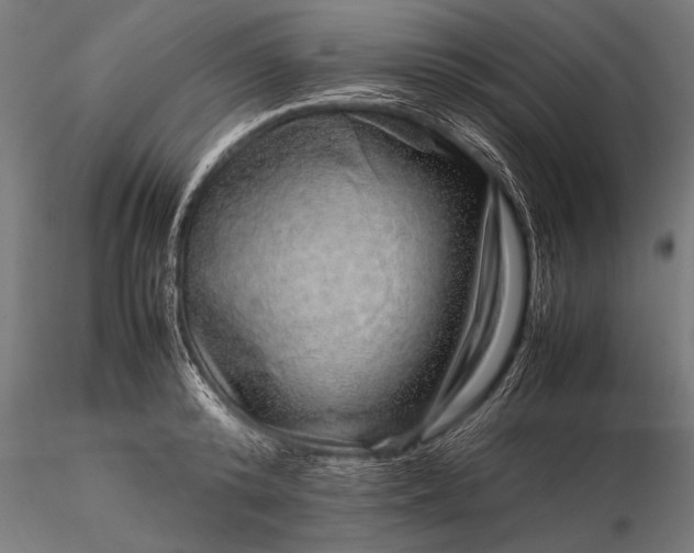 X0000116100800200912071258