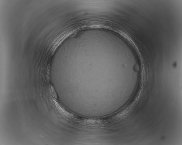 X0000116100801200912071258