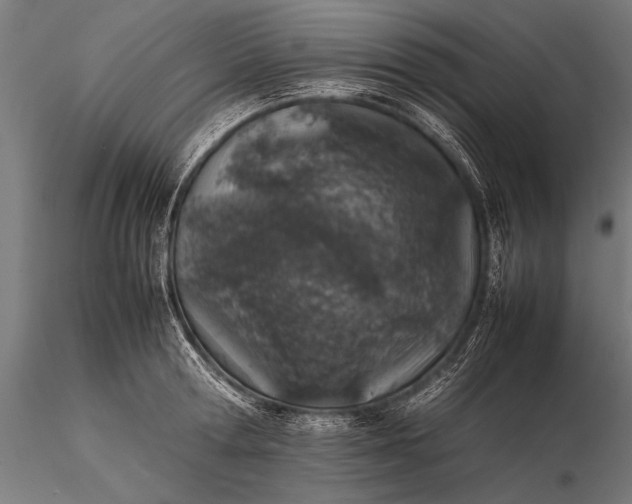 X0000116100802200912071258