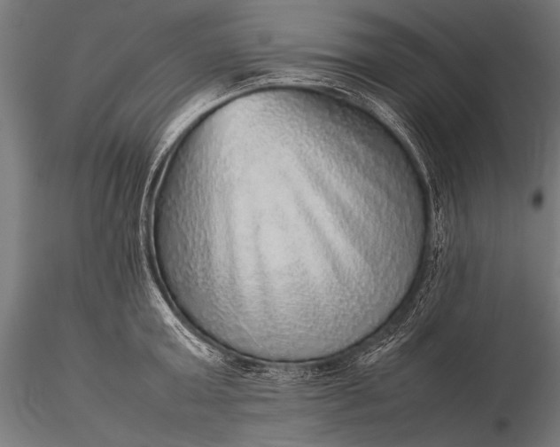 X0000116100803200912071258