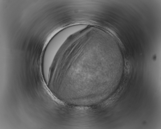 X0000116100804200912071258