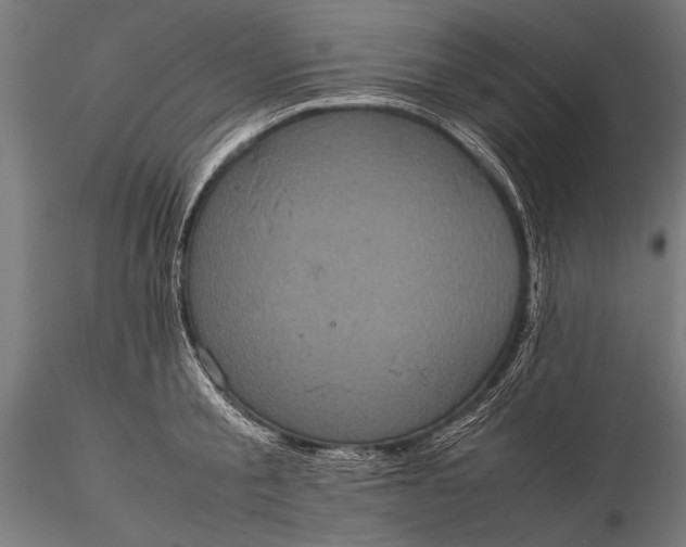 X0000116100805200912071258