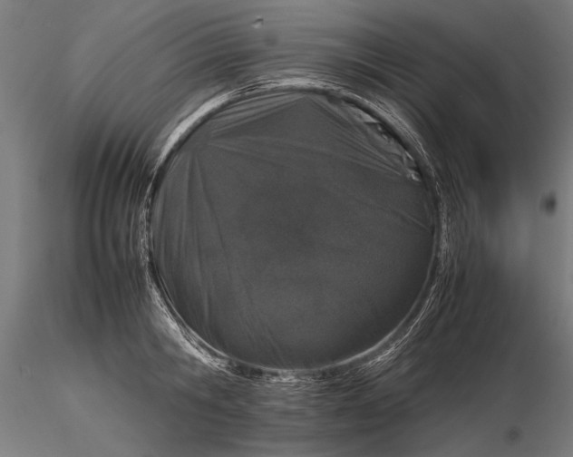 X0000116100806200912071258