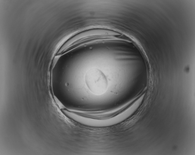 X0000116100807200912071258