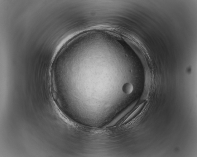 X0000116100808200912071258