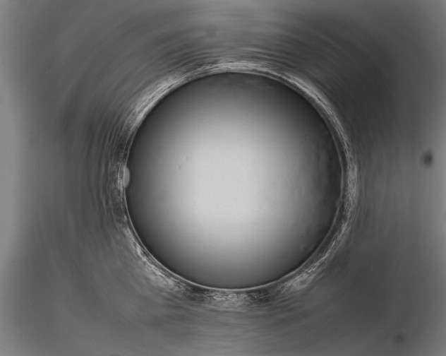 X0000116100809200912071258