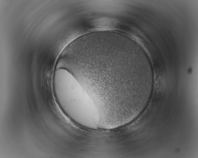 X0000116100810200912071258