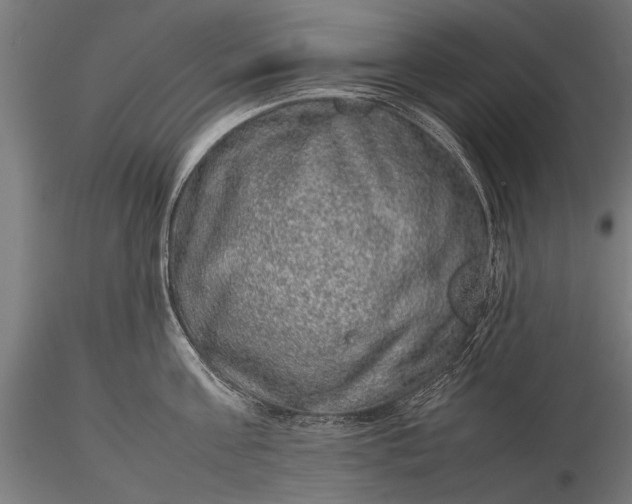 X0000116100811200912071258