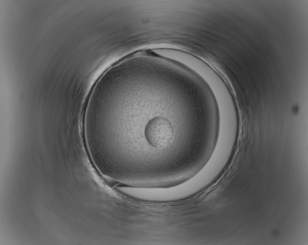 X0000116100813200912071258