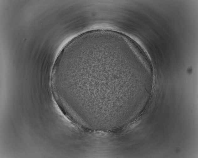 X0000116100815200912071258