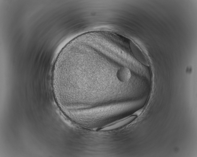 X0000116100816200912071258