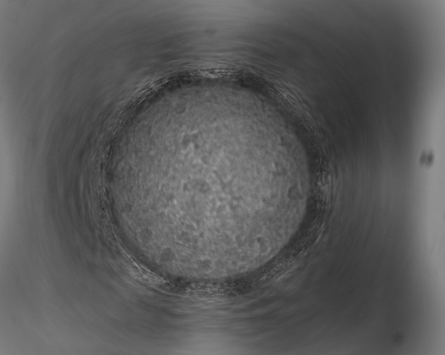 X0000116100817200912071257