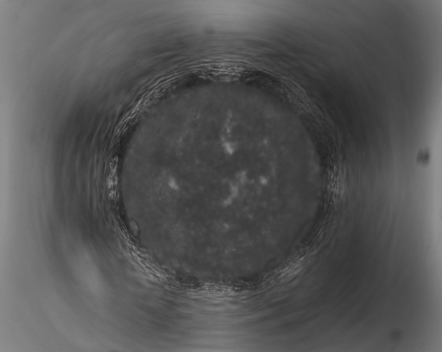 X0000116100818200912071257