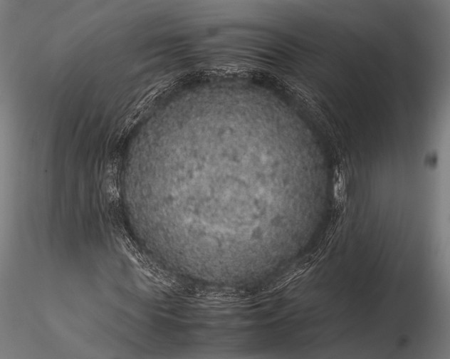 X0000116100819200912071257