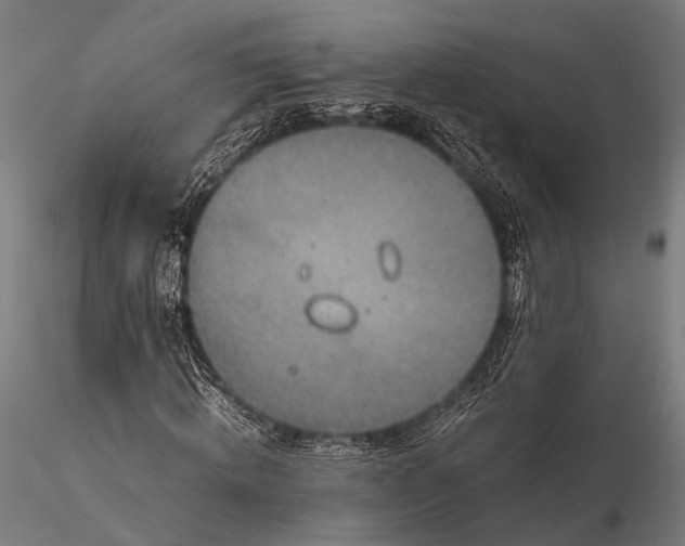 X0000116100820200912071257