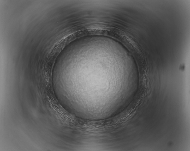 X0000116100821200912071257