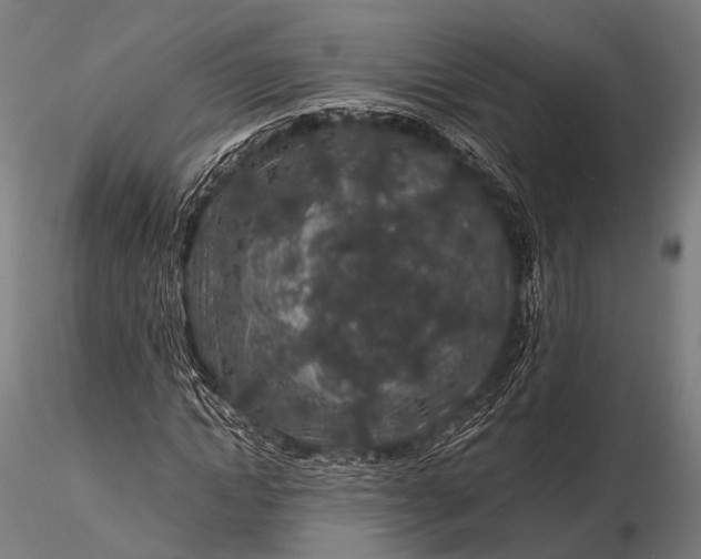 X0000116100822200912071257