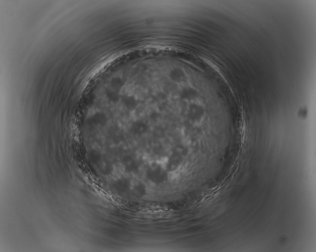 X0000116100823200912071257