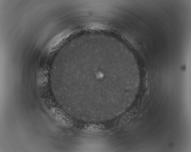 X0000116100824200912071257