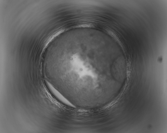 X0000116100827200912071258