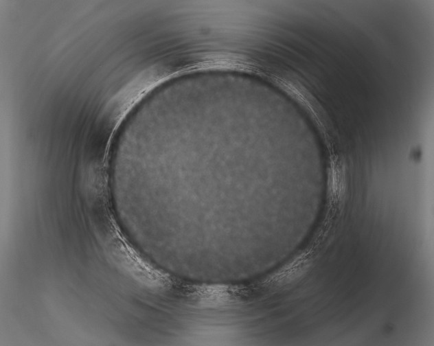 X0000116100828200912071258