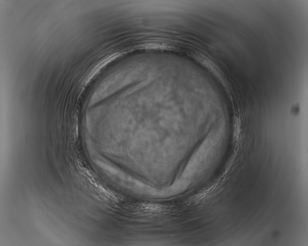 X0000116100829200912071258