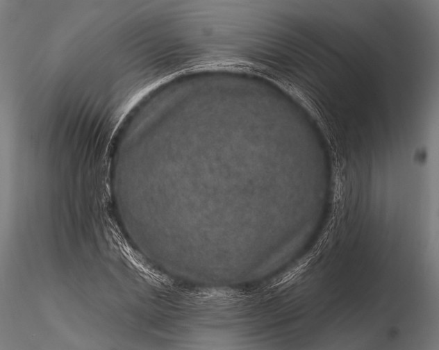 X0000116100830200912071258