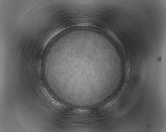 X0000116100831200912071258