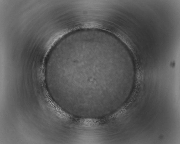 X0000116100832200912071258