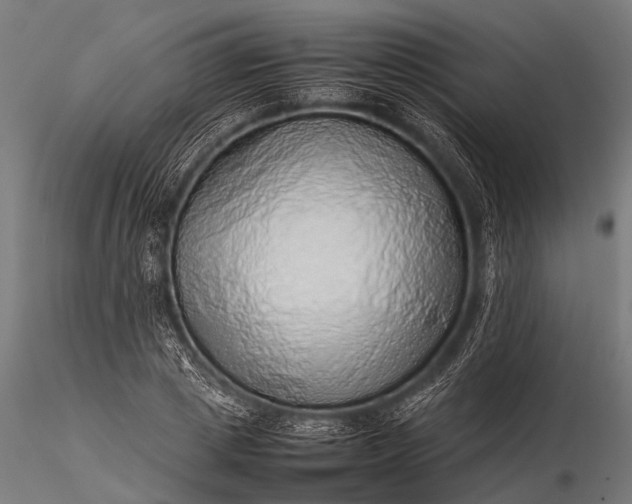 X0000116100833200912071258