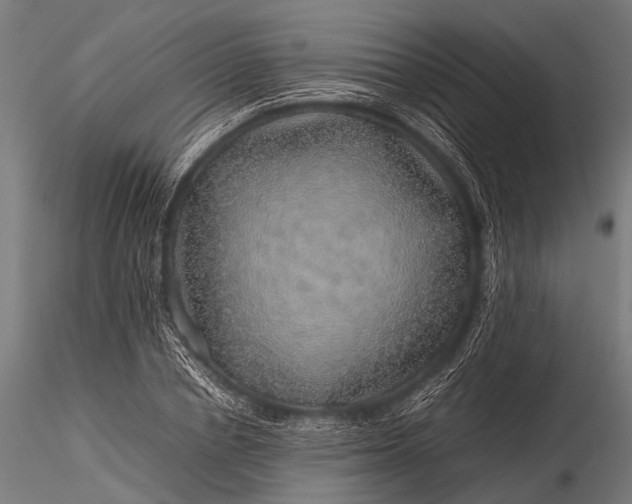 X0000116100834200912071258