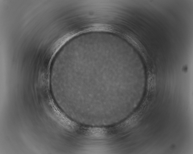 X0000116100836200912071258